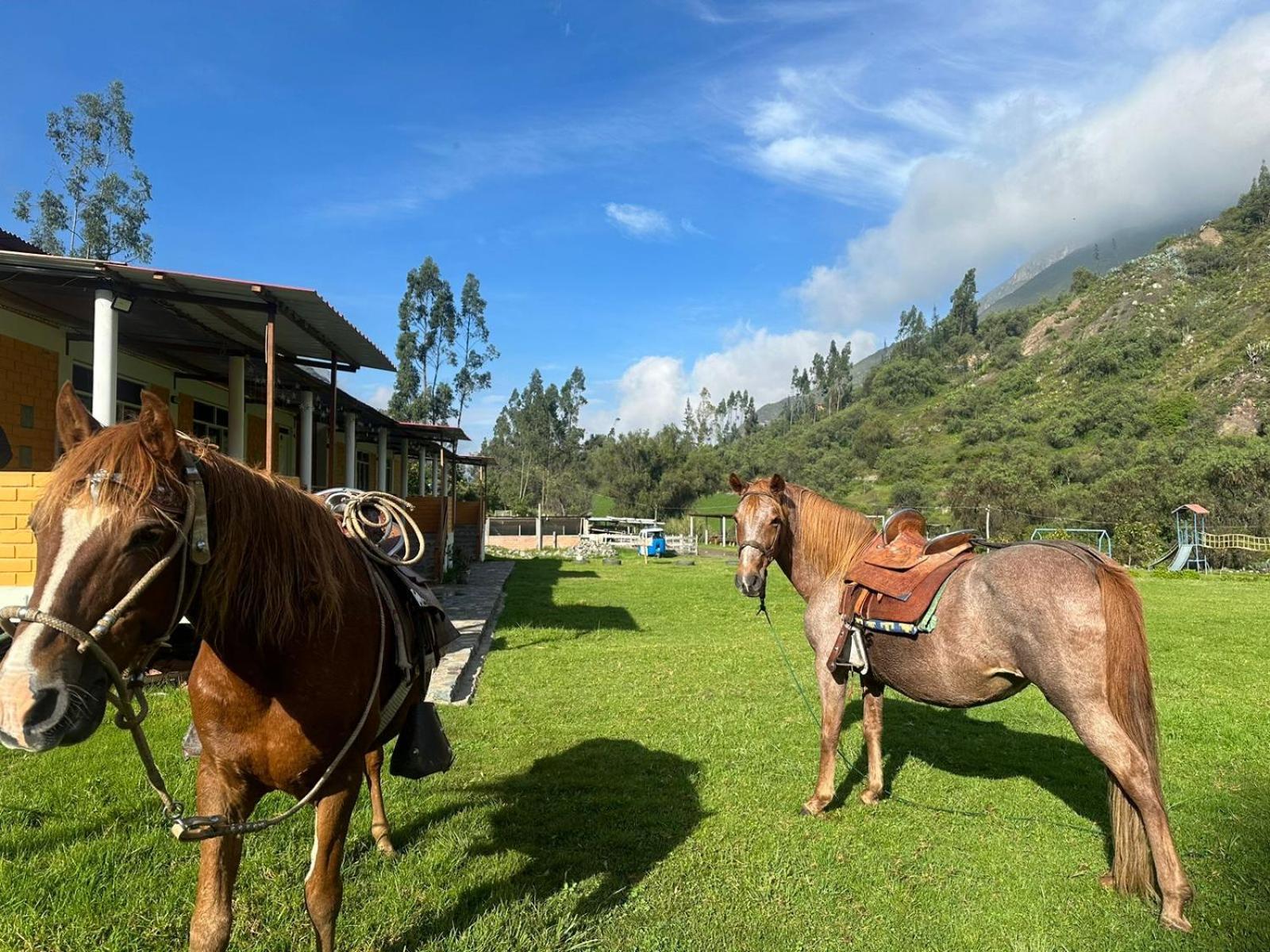 Tambo Lodge Канта Экстерьер фото